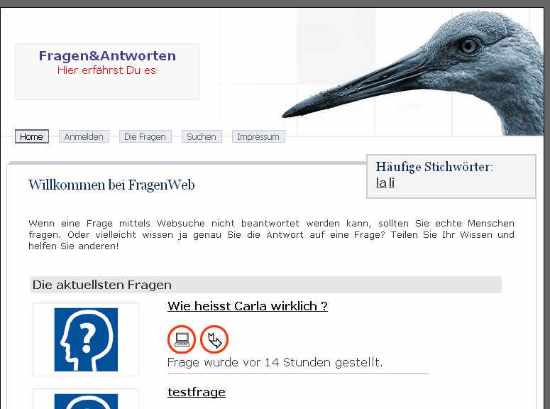 Fragen und Antworten